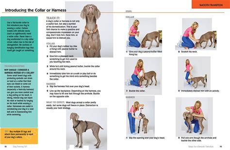 dog training 101 a must have step Reader