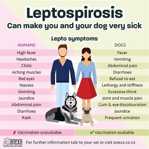 dog vaccine leptospirosis