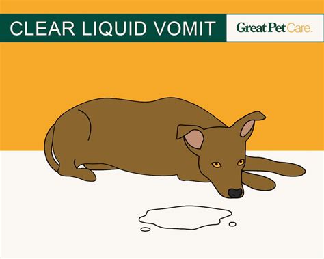 dog vomiting clear liquid