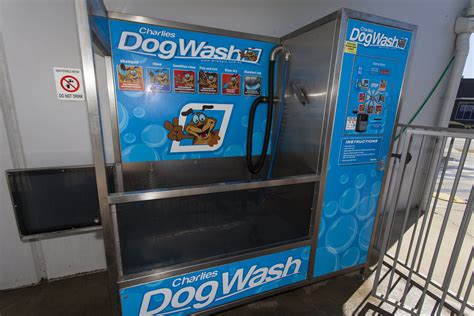 dog wash car