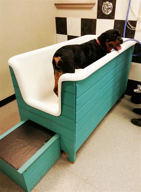 dog wash tub