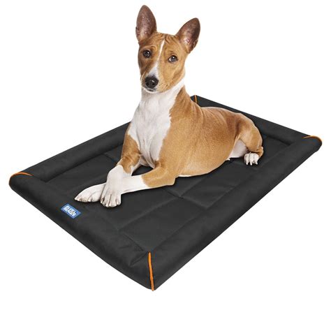 dog water mat