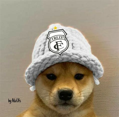 dog with beanie