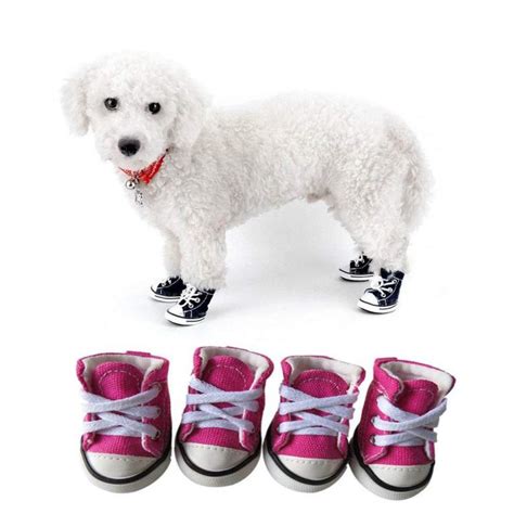 doggie shoes