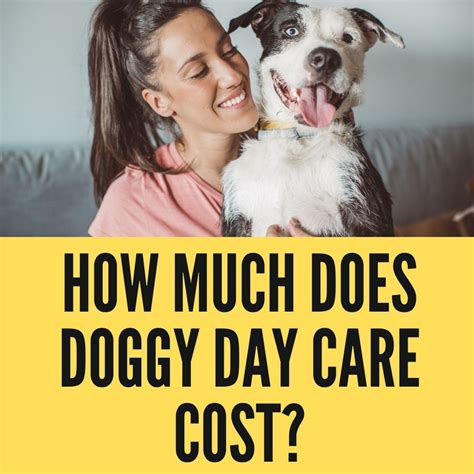 doggy day care cost