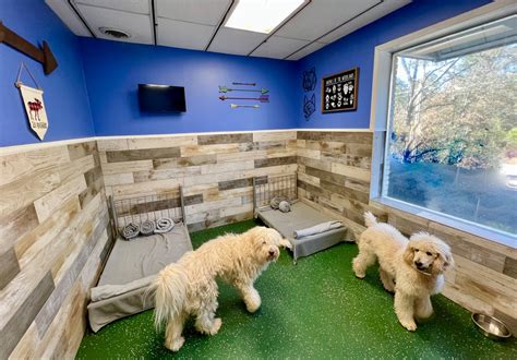 doggy hotel near me