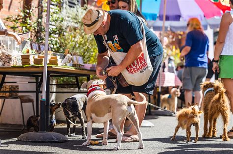 doggy market