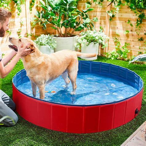 doggy pools