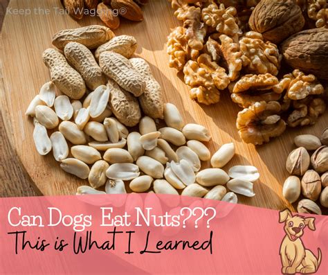 dogs and nuts