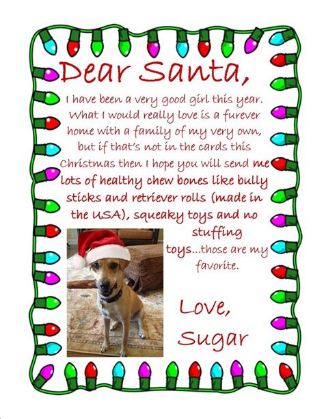 dogs letters to santa Doc