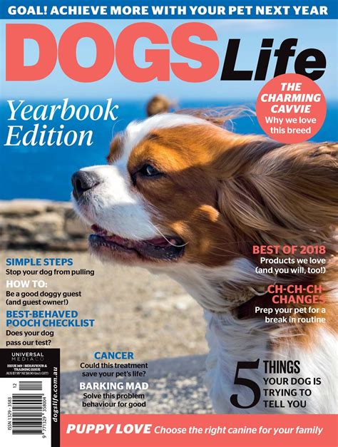 dogs life the magazine for todays dog Doc