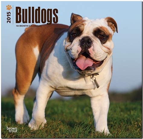 dogue de bordeaux 2015 square 12x12 multilingual edition Epub