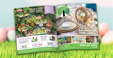 Dollar Tree Catalog Online