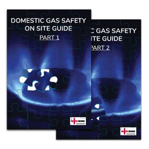 domestic-gas-safety-training-manual Ebook Doc