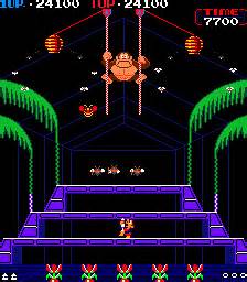 Donkey Kong 3 Walkthrough