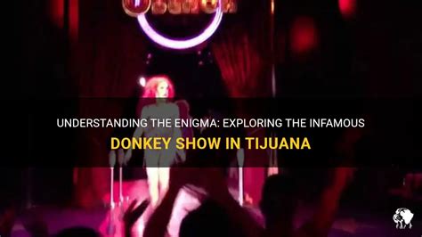 donkey show en tijuana