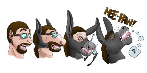 donkey transformation