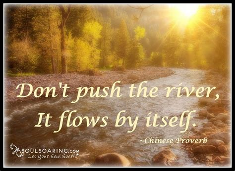 dont push the river it flows by itself Kindle Editon