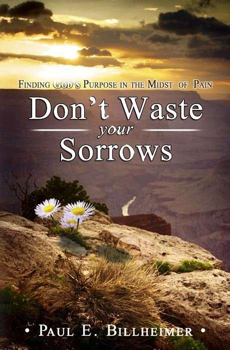 dont waste your sorrows finding gods purpose in the midst of pain Kindle Editon