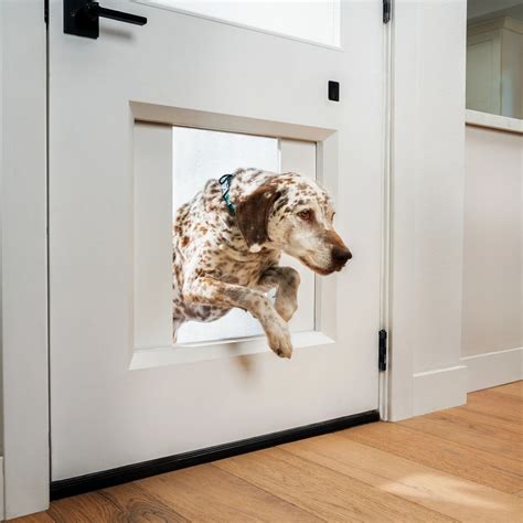 doors with built in dog door