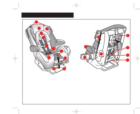 dorel eddie bauer car seat manuals PDF