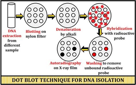 dot slot blot