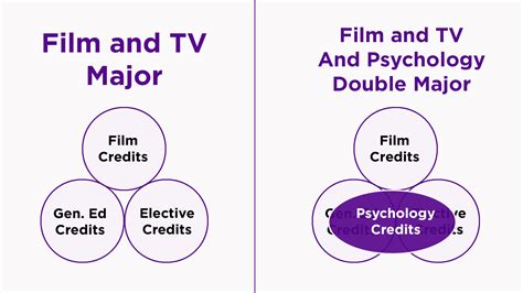 double major nyu