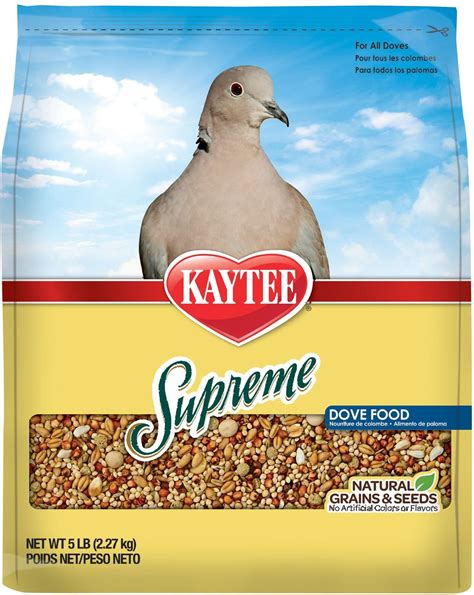 dove bird food