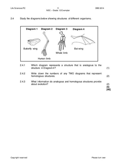 download 2014 exampler papers for grade 12 Kindle Editon