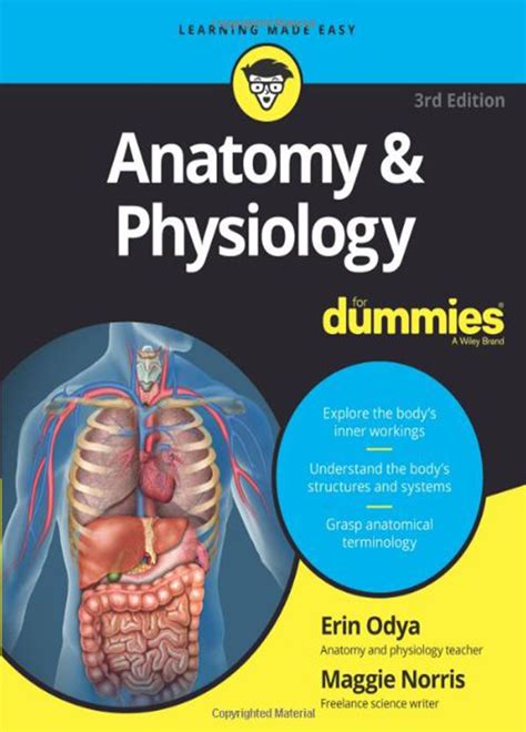download Anatomy  amp  Physiology Workbook For Dummies  PDF Doc