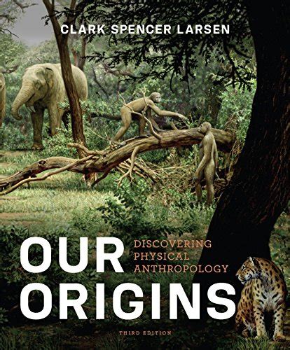 download Our Origins  Discovering Physical Anthropology  Third Edition PDF Kindle Editon