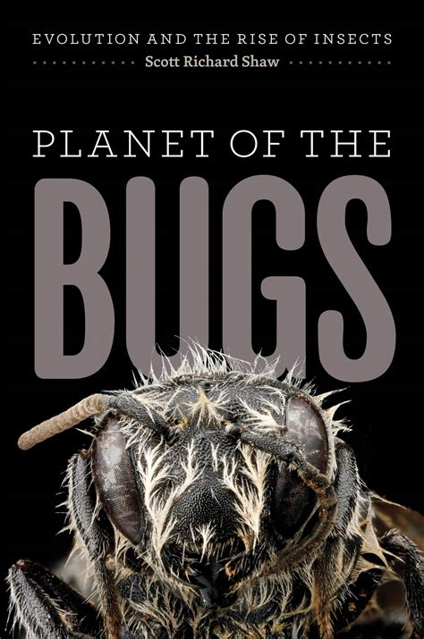 download Planet of the Bugs  Evolution and the Rise of Insects PDF Reader