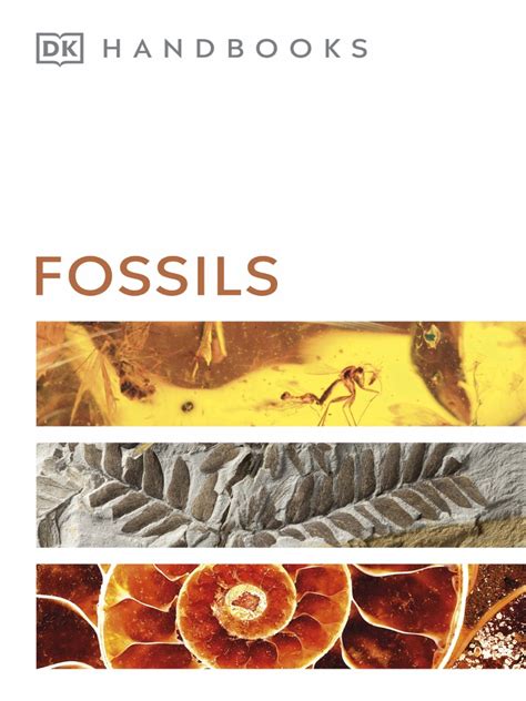 download Smithsonian Handbooks  Fossils PDF Doc