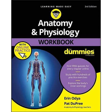 download anatomy and physiology workbook for dummies pdf PDF