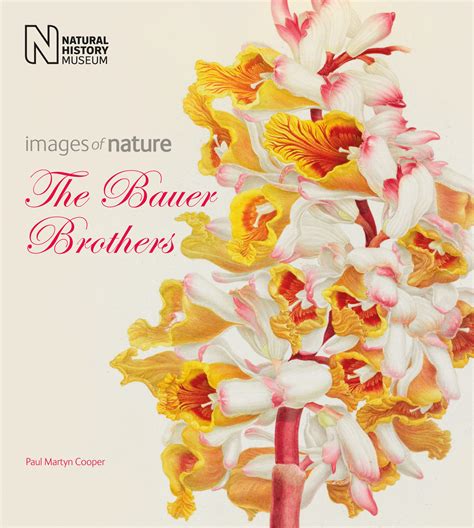 download bauer brothers images nature PDF