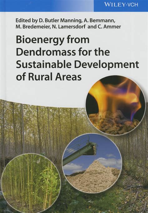 download bioenergy dendromass sustainable development rural PDF