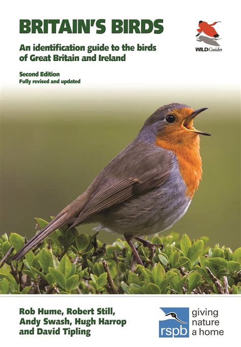 download book identifying british birds Kindle Editon