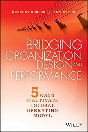 download bridging organization design performance operation Kindle Editon