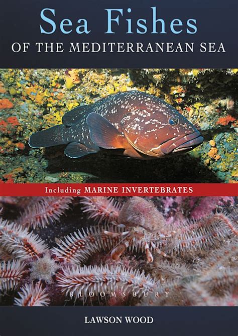 download fishes mediterranean including marine invertebrates Epub