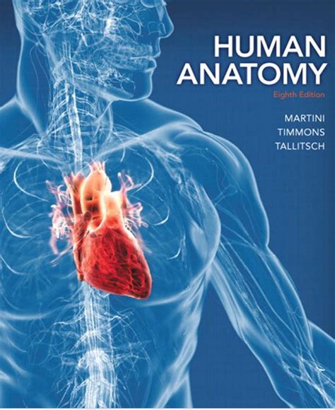 download human anatomy and physiology 8th edition pdf Epub