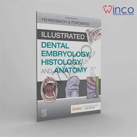 download illustrated dental embryology histology and anatomy 3e pdf Doc