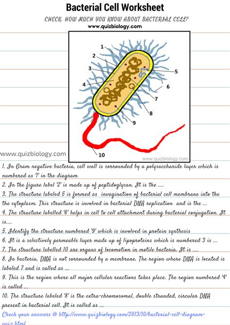download meet bacteria pdf free PDF