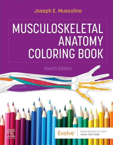 download musculoskeletal anatomy coloring book 2e pdf PDF