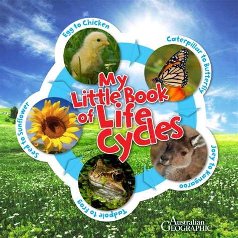 download my little book of life cycles Kindle Editon