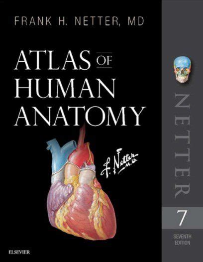 download netters anatomy flash cards 7th edition pdf Doc