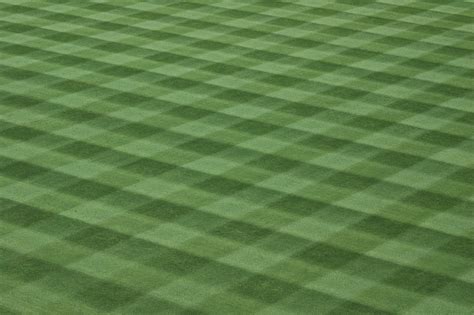 download pdf baseball when grass was real Kindle Editon