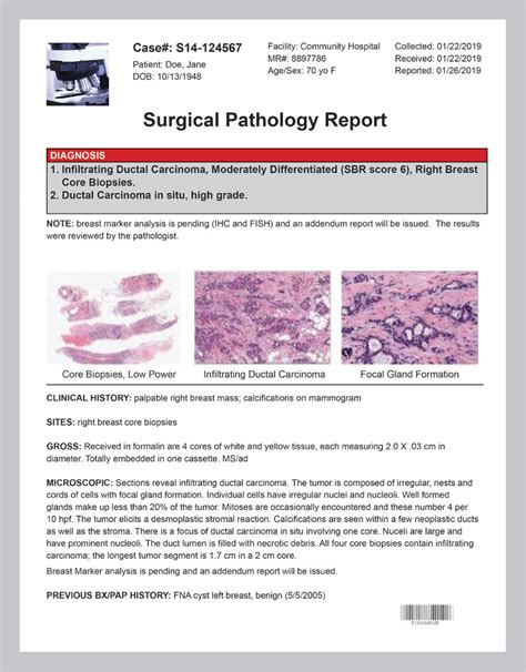 download pdf biopsy diagnosis of PDF