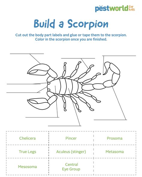 download pdf lesson plans scorpions Epub