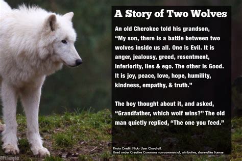download pdf wolf spirit story wolves wonder PDF