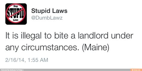 download stupid laws of maine funny Kindle Editon